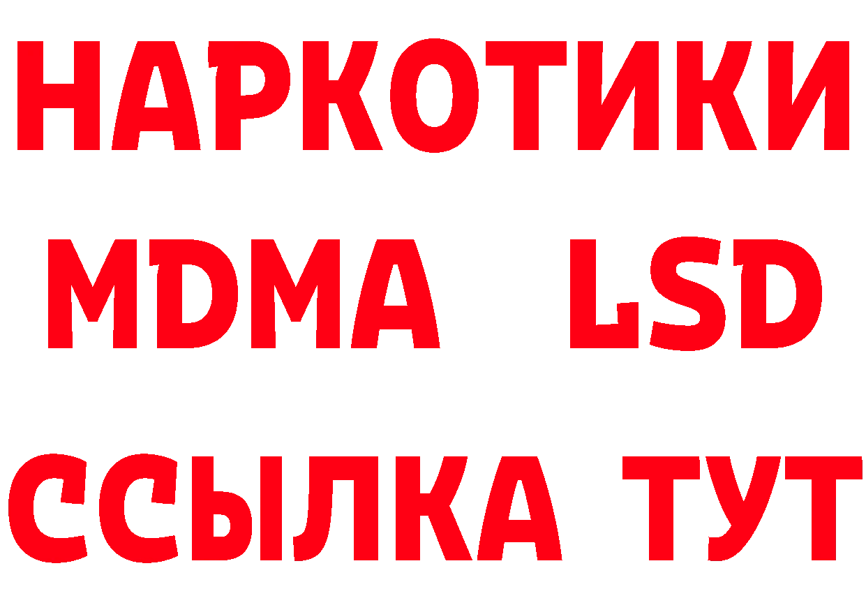 Магазины продажи наркотиков дарк нет какой сайт Бикин